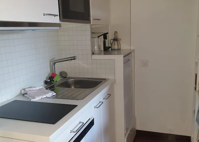 Beau Avec Piscine Et Terrasse A Montana 크란스몬타나